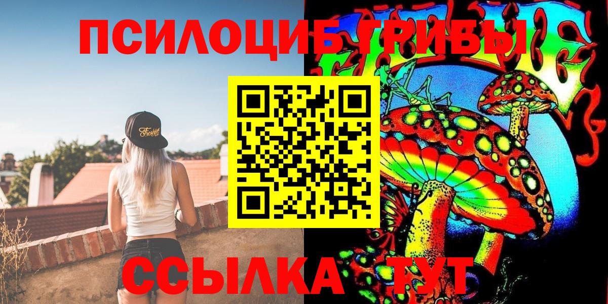 Видное  Псилоцибиновые грибы Psilocybine cubensis  Галлюциногенные грибы Psilocybe  Вход с VPN 