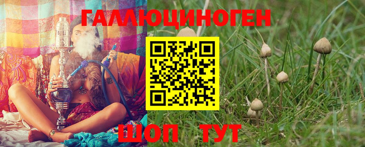 Галлюциногенные грибы Magic Shrooms Видное